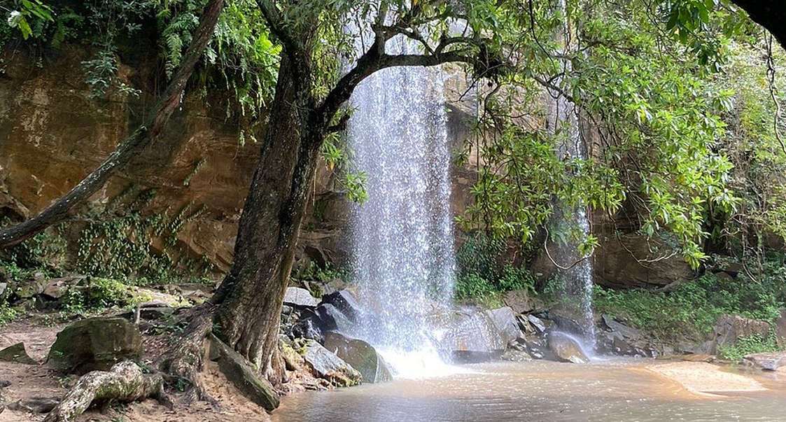 1 Day Shimba Hills Safari – Sheldrick Falls & Wildlife1